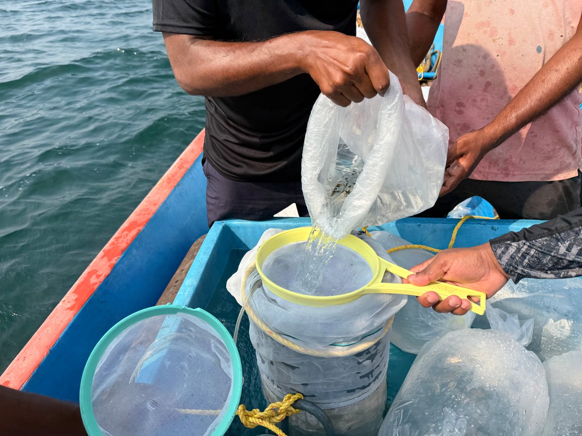 CMFRI -Central Marine Fisheries Research Institute tweet media