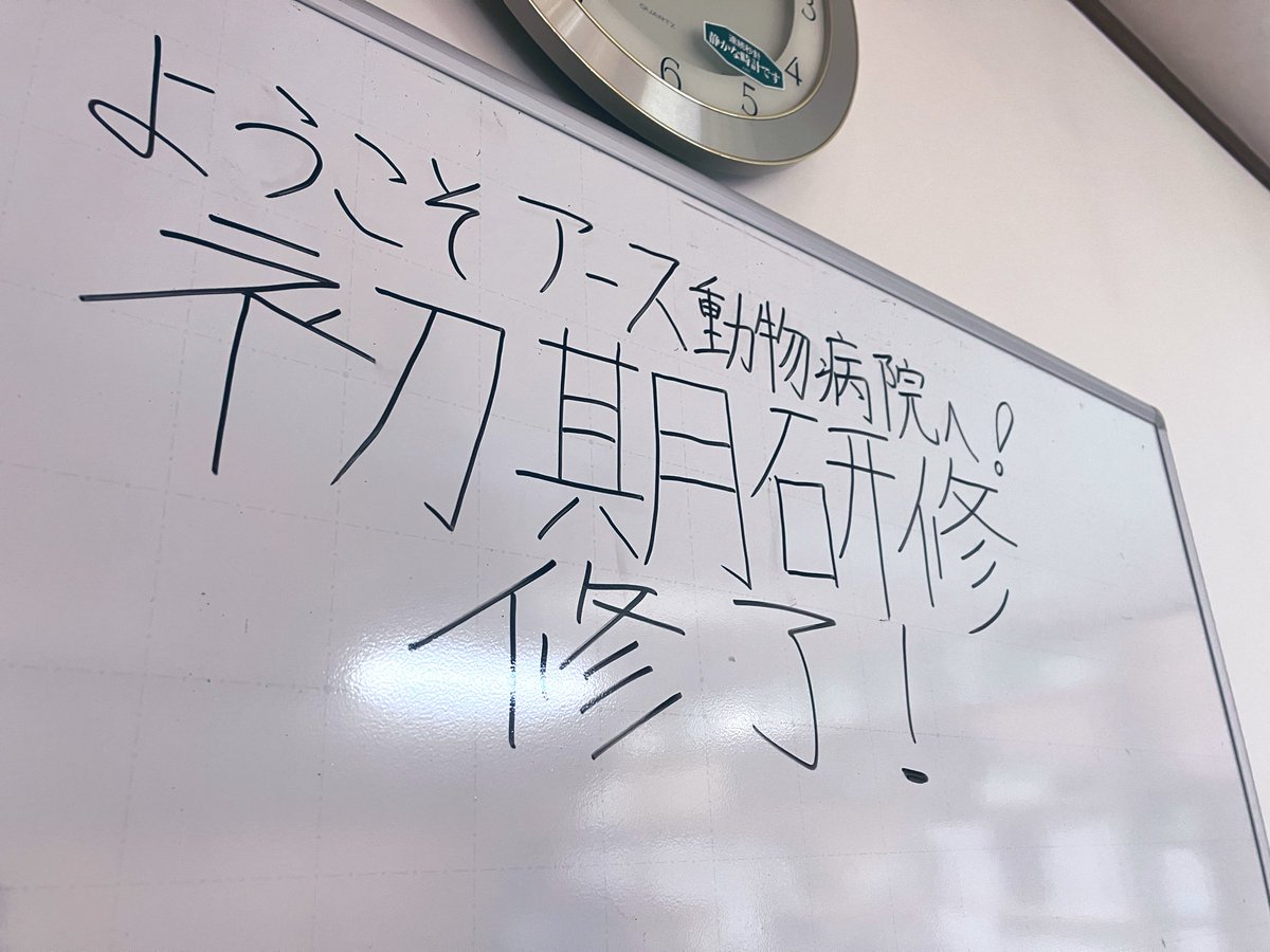 新人初期研修が修了しました！
明日から前期研修に移行します！