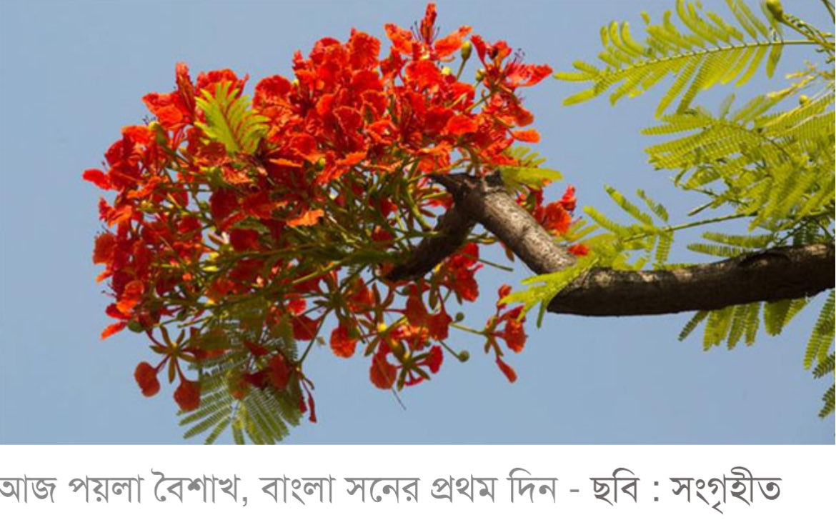 Amar Bangladesh Party-এবি পার্টি tweet media