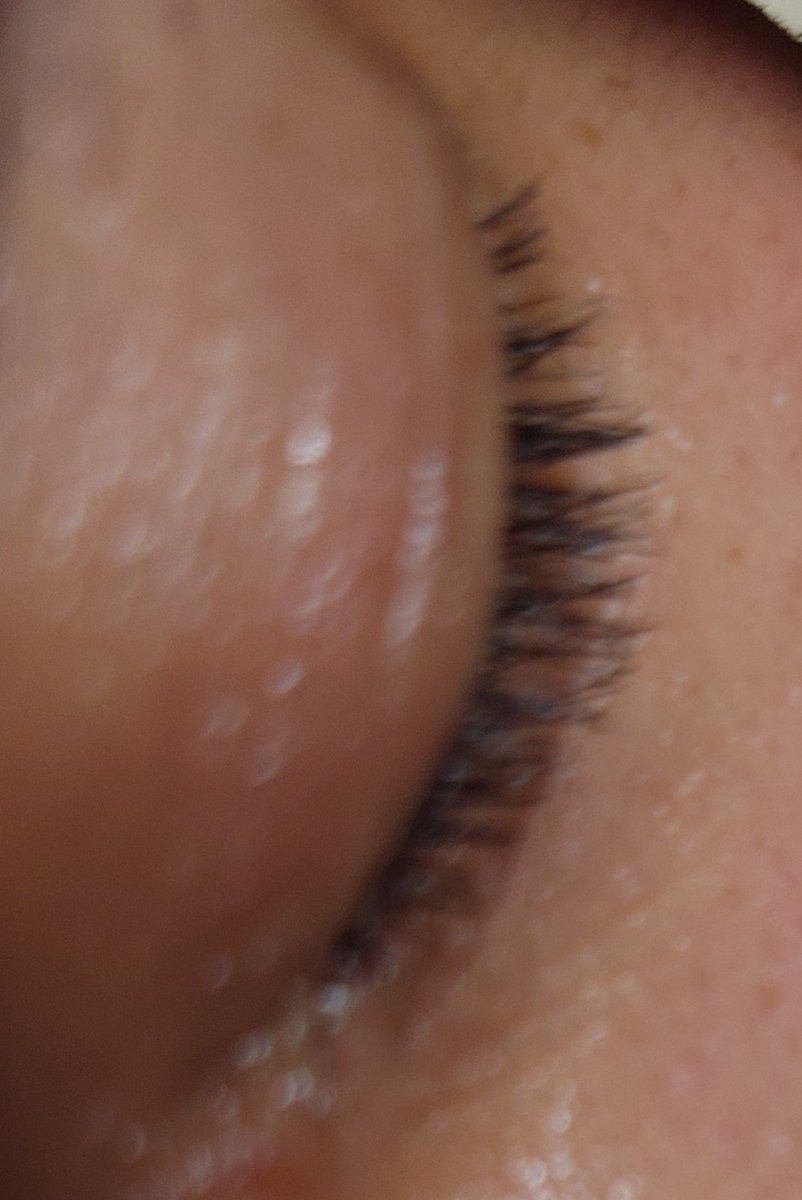 けんくん tweet media