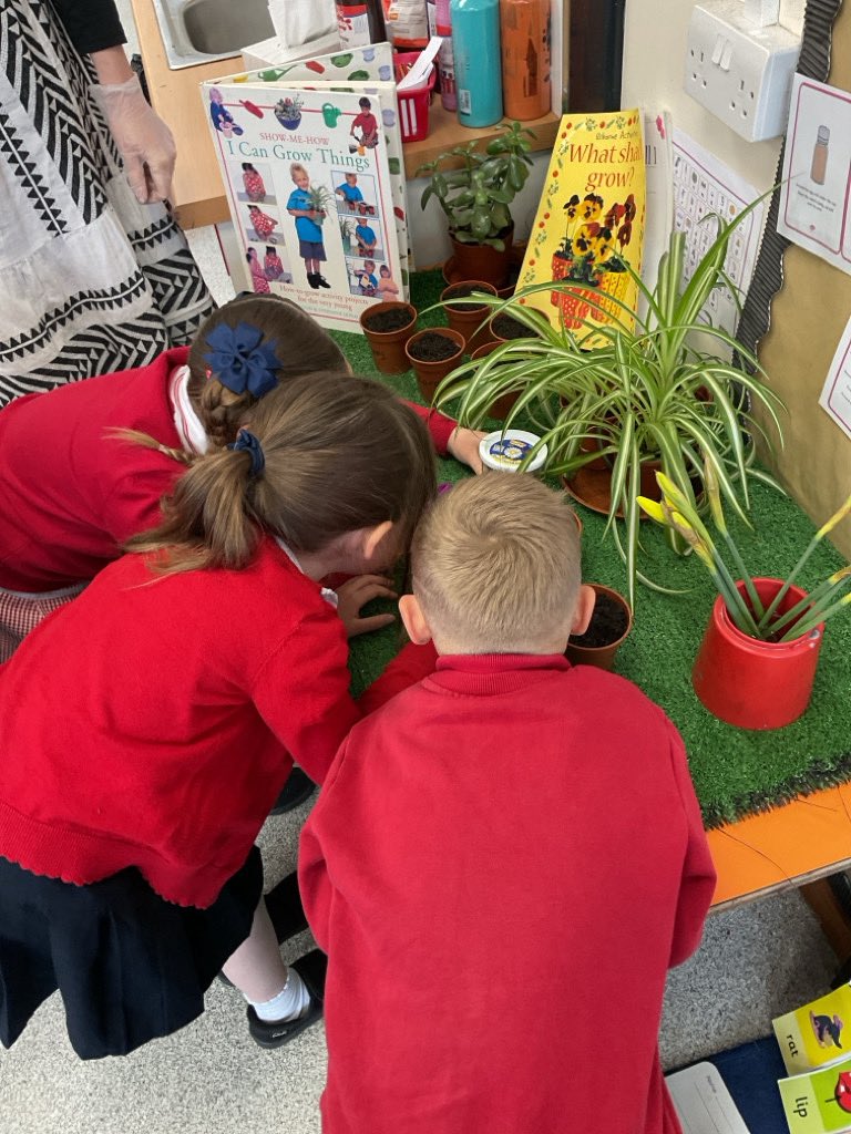 This morning EYFS planted beans to grow their own beanstalks just like Jack <a href="/Bepschools/">Bradgate Education Partnership</a>