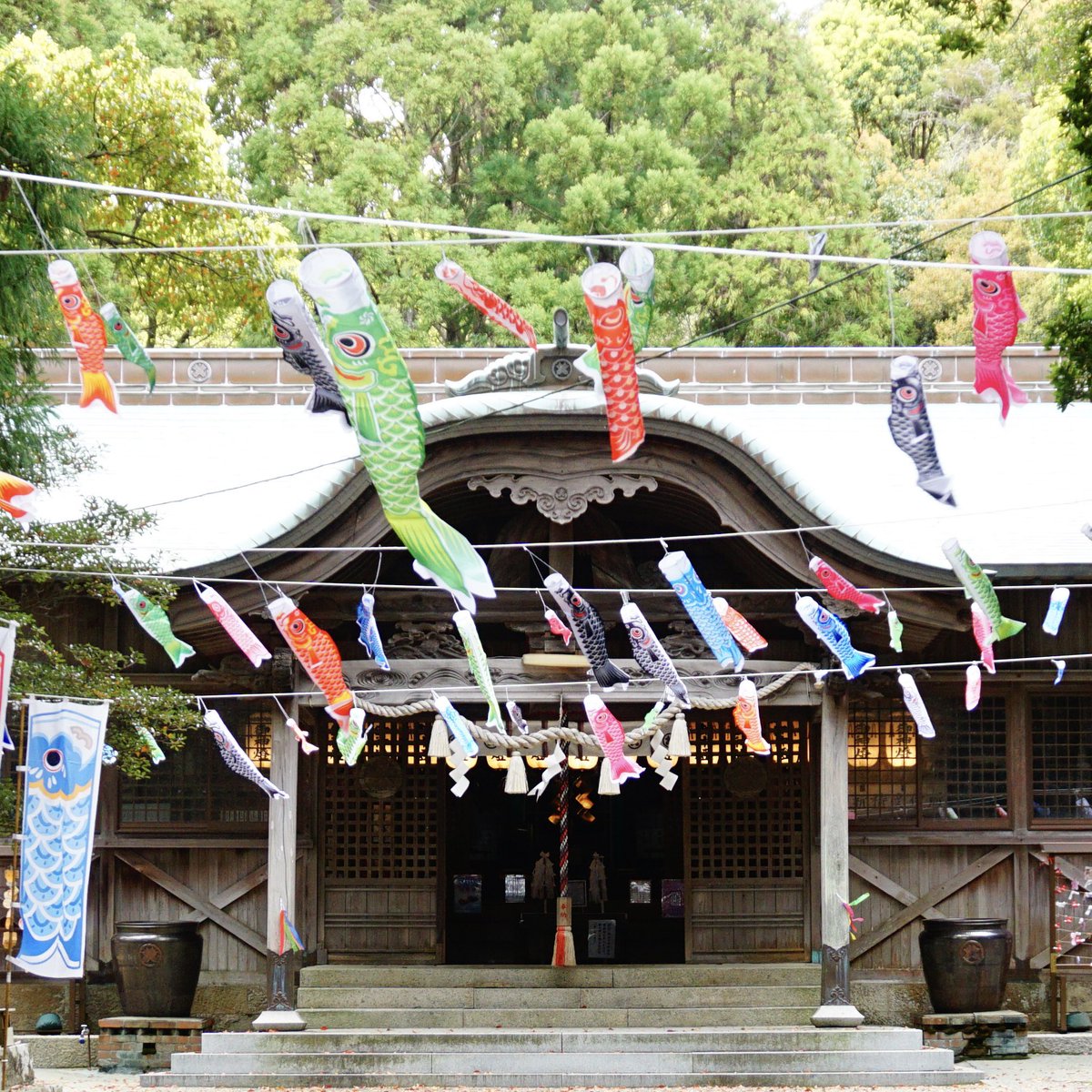 宇佐八幡神社 tweet media