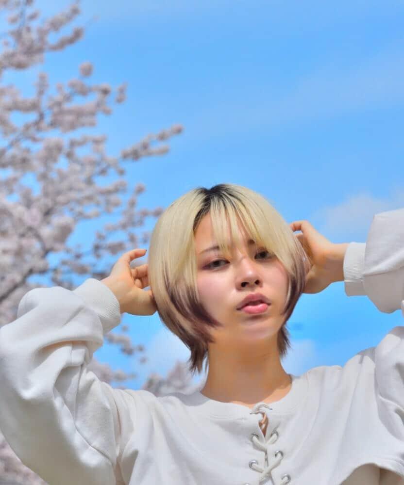 ４月６日撮影
がおちゃんと桜
新宿御苑の予定が入り口の混雑ぶりに負けて１キロほど離れた公園に移動しての撮影
<a href="/_lionista_/">がおちゃん！！🦁🤍</a> 
#がおちゃん
<a href="/syayuukai/">写游会【公式】</a> 
#写游会