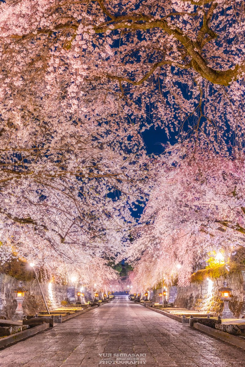 tokyocamerajp's tweet image. Yuji_48さんの投稿作品。リツイート＆いいね！大歓迎です。
tokyocameraclub.com/mstdn/Yuji_48/…
 #mastodon #マストドン #Photograph #Photography