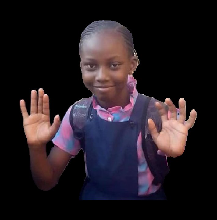 𝐓𝐇𝐄 𝐋𝐀𝐙𝐘 𝐏𝐑𝐎𝐆𝐑𝐀𝐌𝐌𝐄𝐑 tweet media