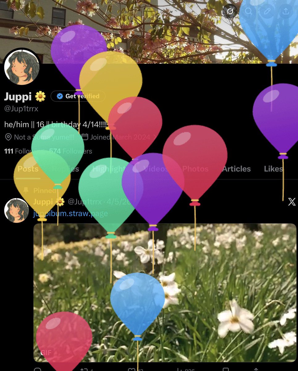 Juppi 🌼🎂 tweet media