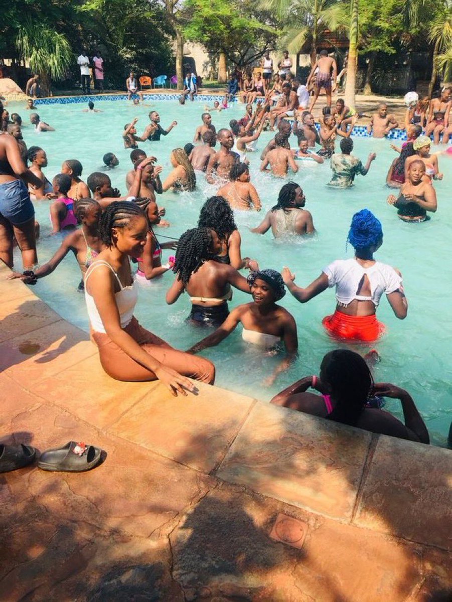 Raymond Dart(Mr Dart) tweet media