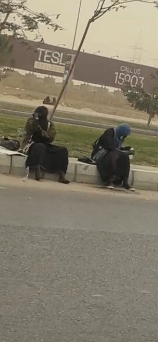 Starrynight tweet media