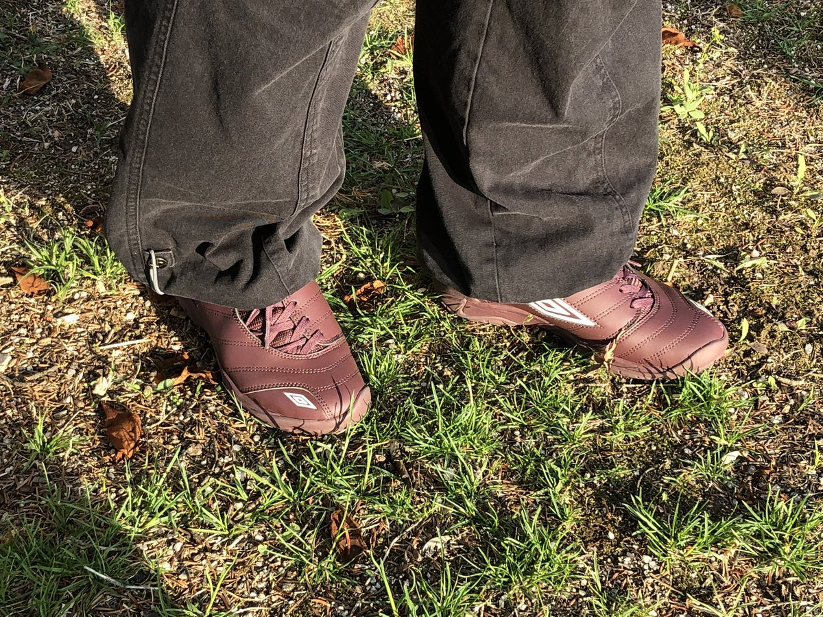 광식 조 tweet media