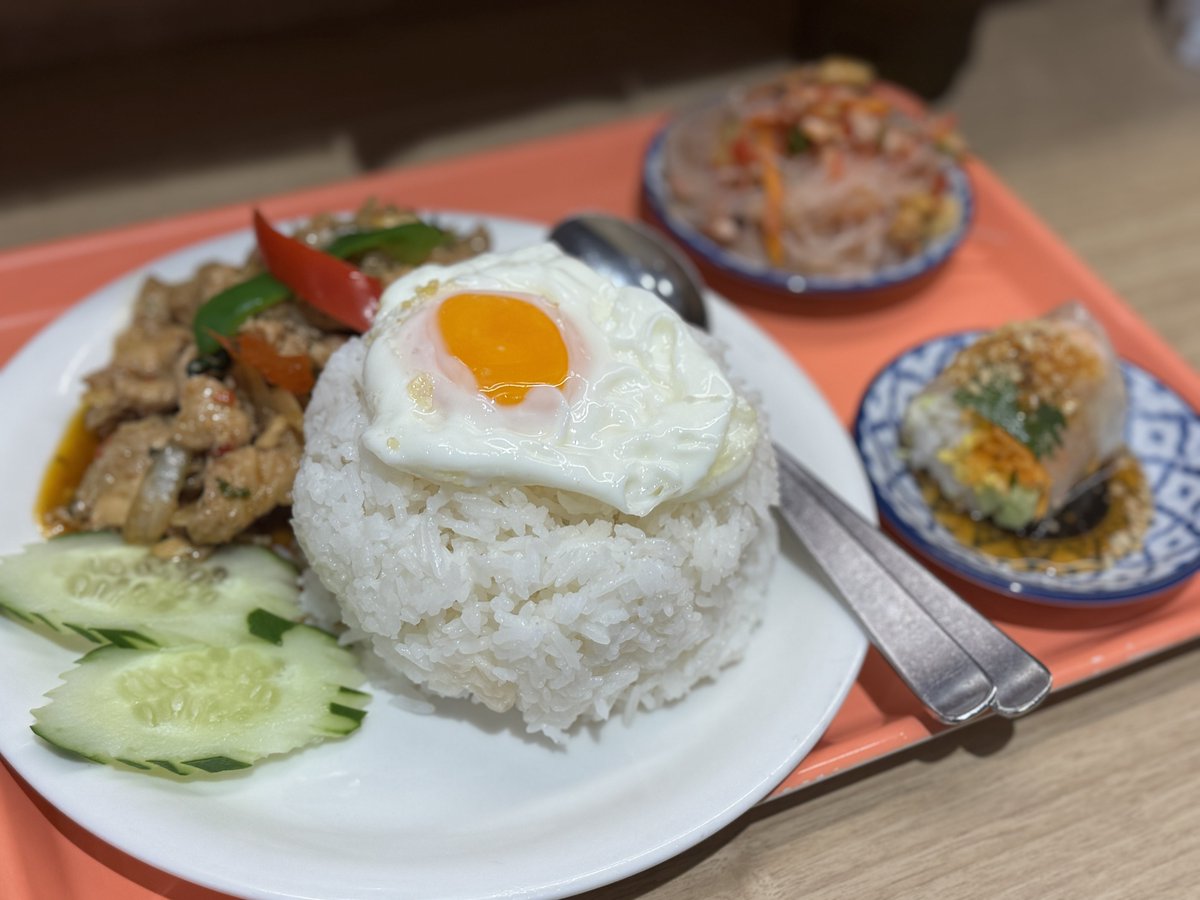 kaphraosan's tweet photo. 新宿駅構内のタイレストランにて🇹🇭
今年はパタヤに行けるかなぁ🙄
早く戦争終わって欲しいなぁ🫩
#タイ料理 #ガパオライス #パタヤが恋しい https://t.co/EdgpIVhWsz
