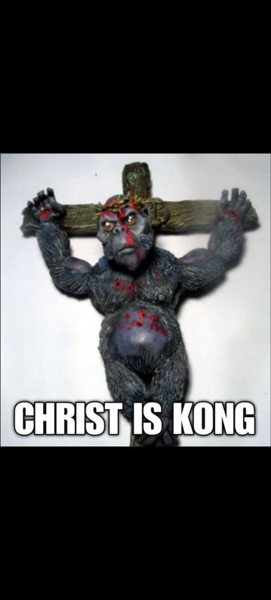 Naina arora tweet media