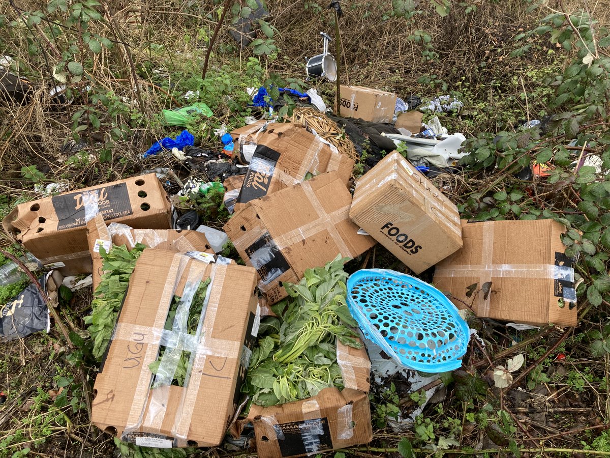 BucksFlyTipping's tweet image. #FlyTip at Hollybush Lane, Denham on 7th Feb 2026. Large quantity of boxed vegetables dumped. Driver of the van was with two friends who asked to stop to urinate and didn't know they were dumping waste. Wouldn't provide details of friends so accepted full responsibility. FPN paid
