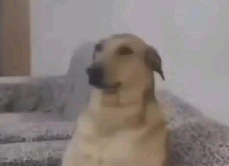 نواف 26 🇸🇦 tweet media