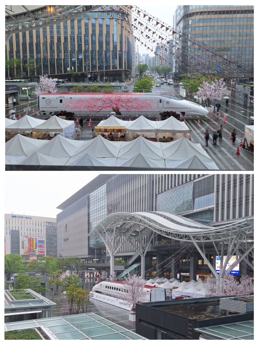 れいた。 tweet media