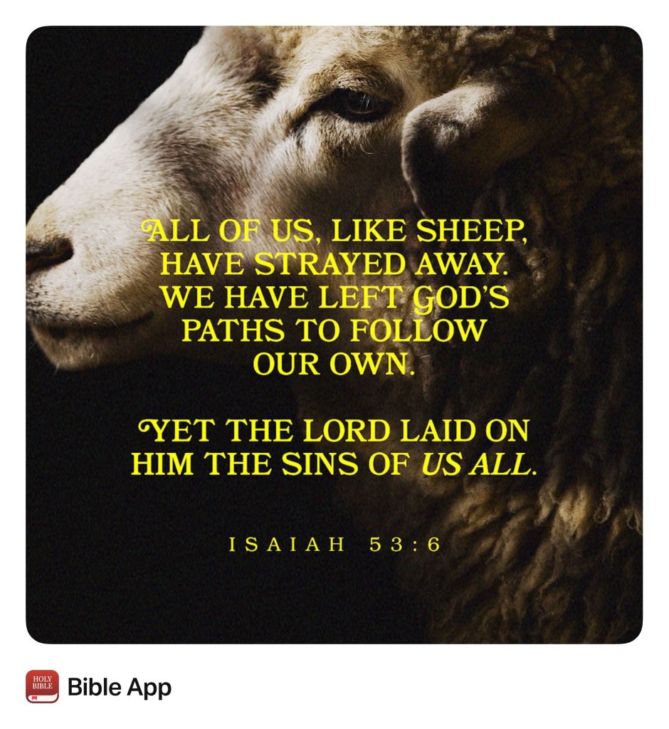 Namu Keys tweet media