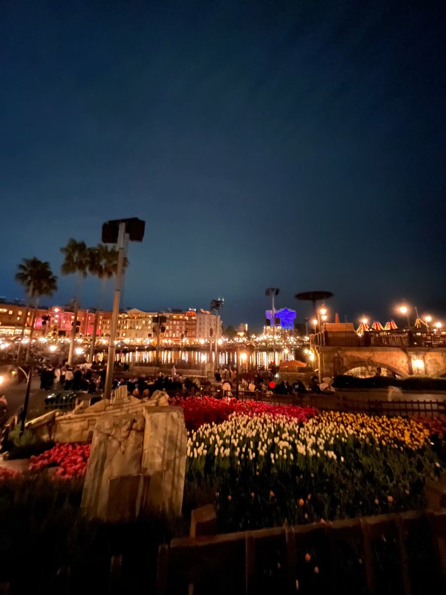 ほそしんのサブ垢(本物) tweet media