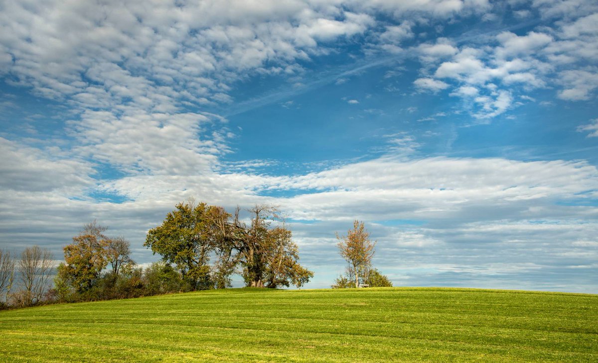 Agroscope tweet media