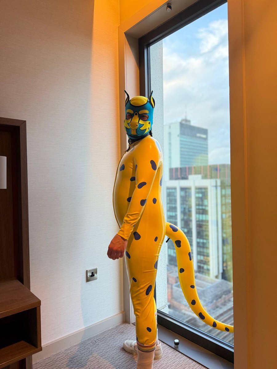 Pup Wills 🔜 Animalz 🐾 🐶 tweet media