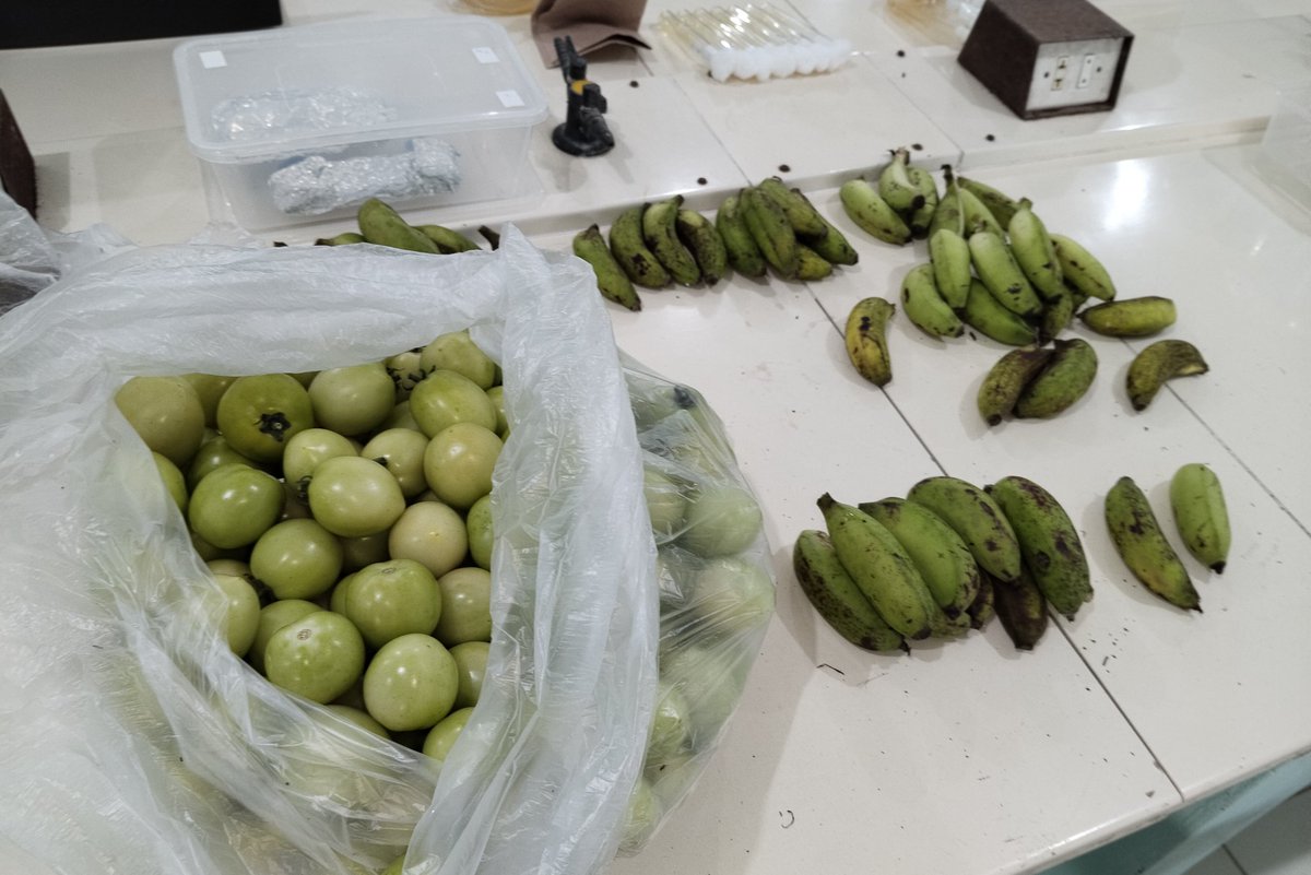 Rej 🍠 tweet media