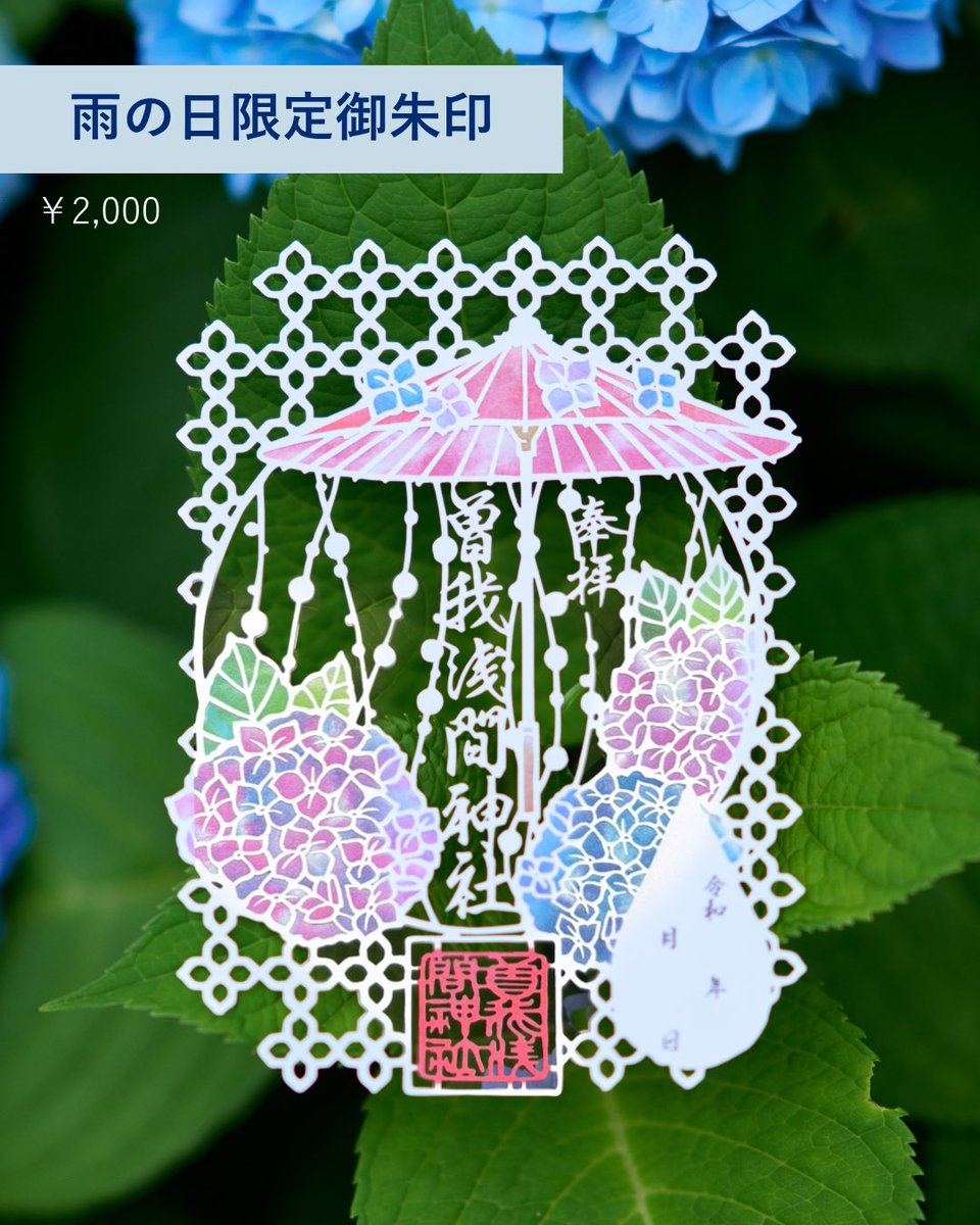 ACAO FOREST tweet media