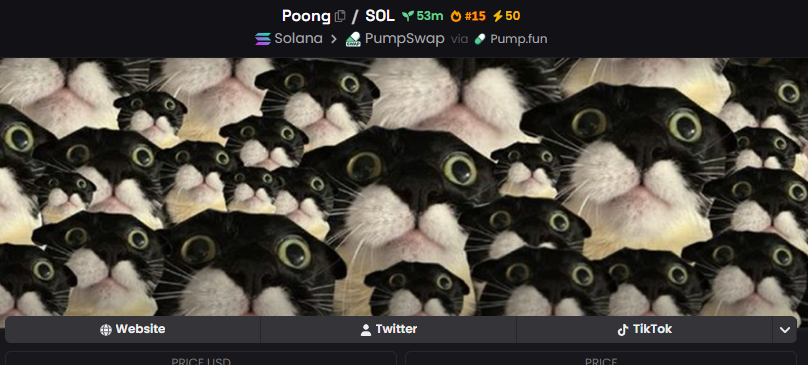 Poong (@poong_coin) / Posts / X