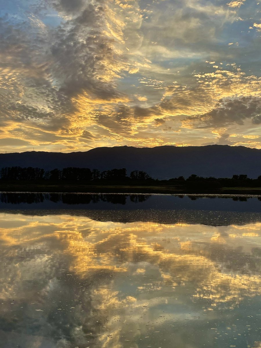 いっちぃ tweet media