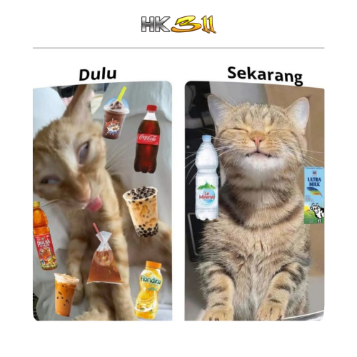 𝐚𝐥𝐞𝐱. (Rest) tweet media