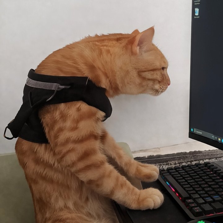 Binance Intern tweet media