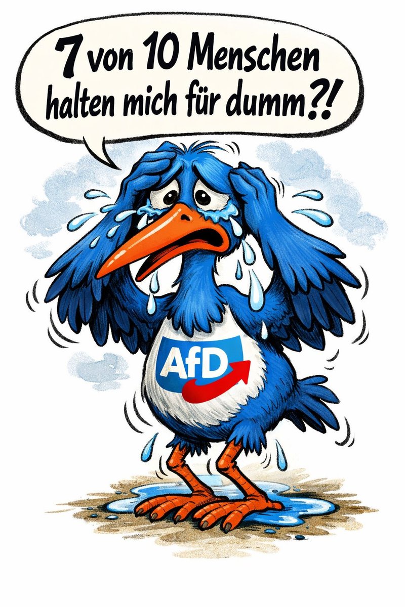 Johannes Schröter tweet media