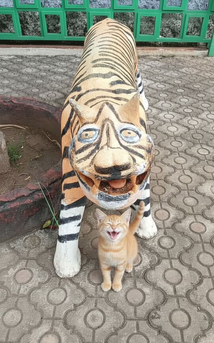 尊い動物 tweet media