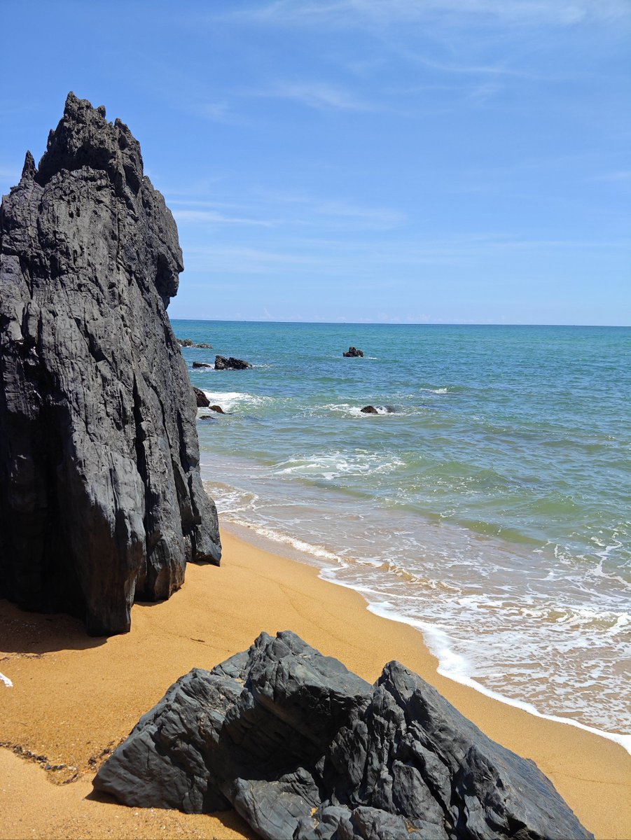 Banane Gun 🍌🔫 tweet media