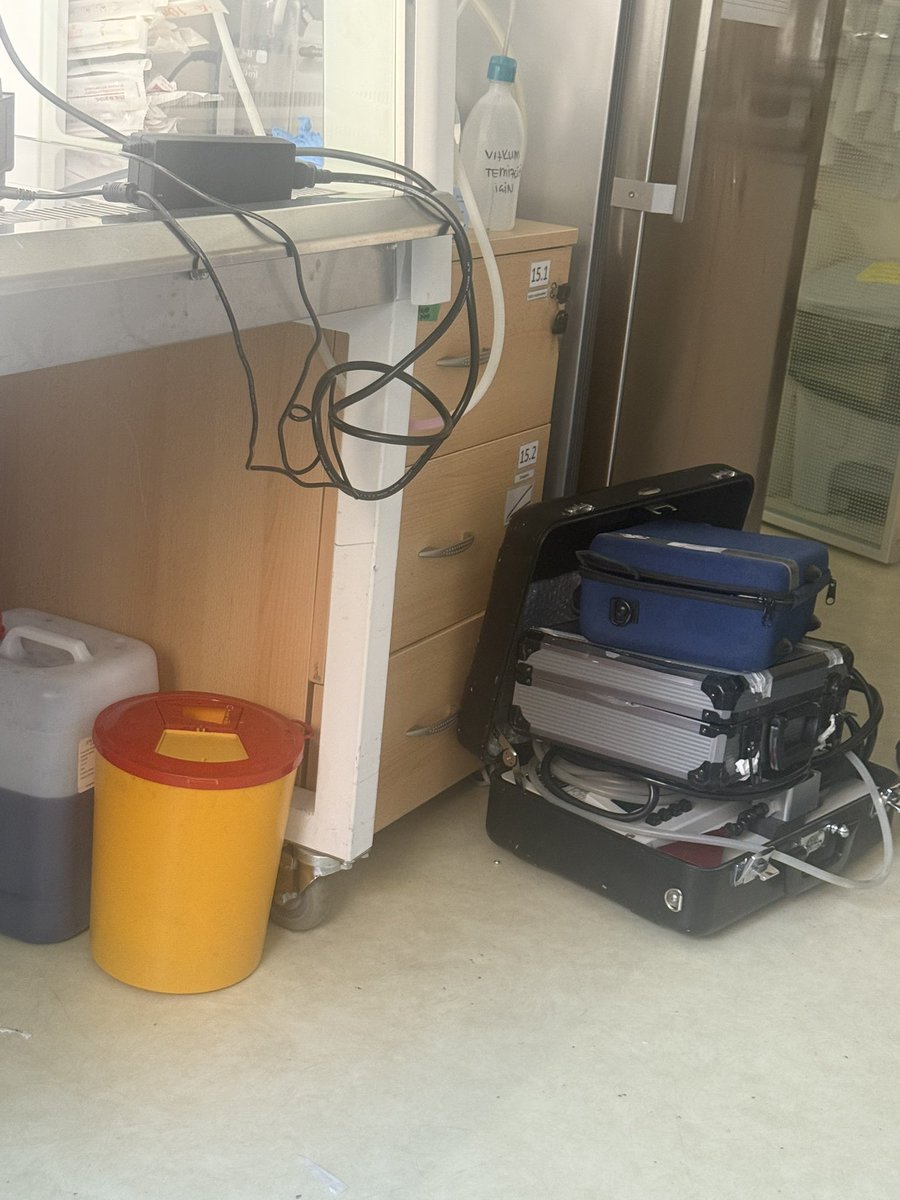 nazzle dazzle (got headpats from chan) ⊹₊⟡⋆ tweet media