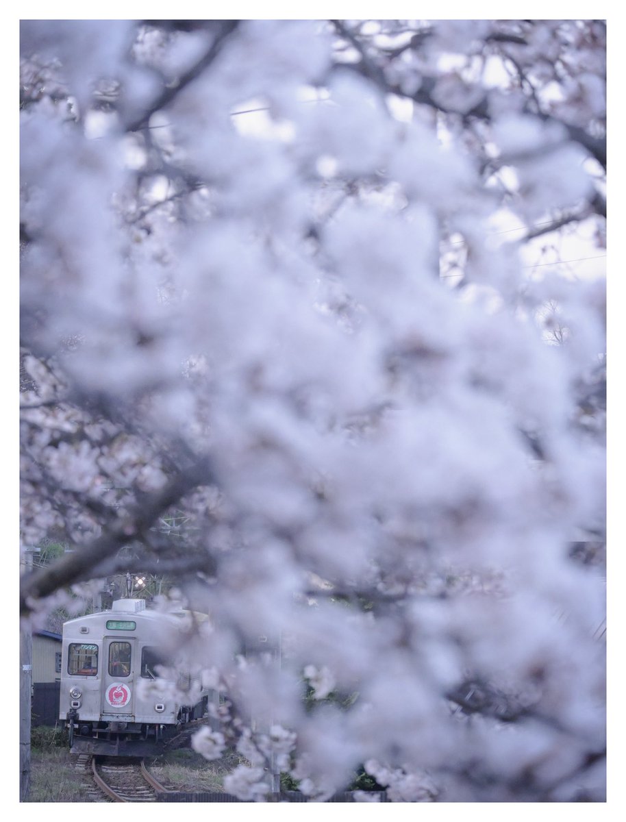 蒼生@青鉄 tweet media