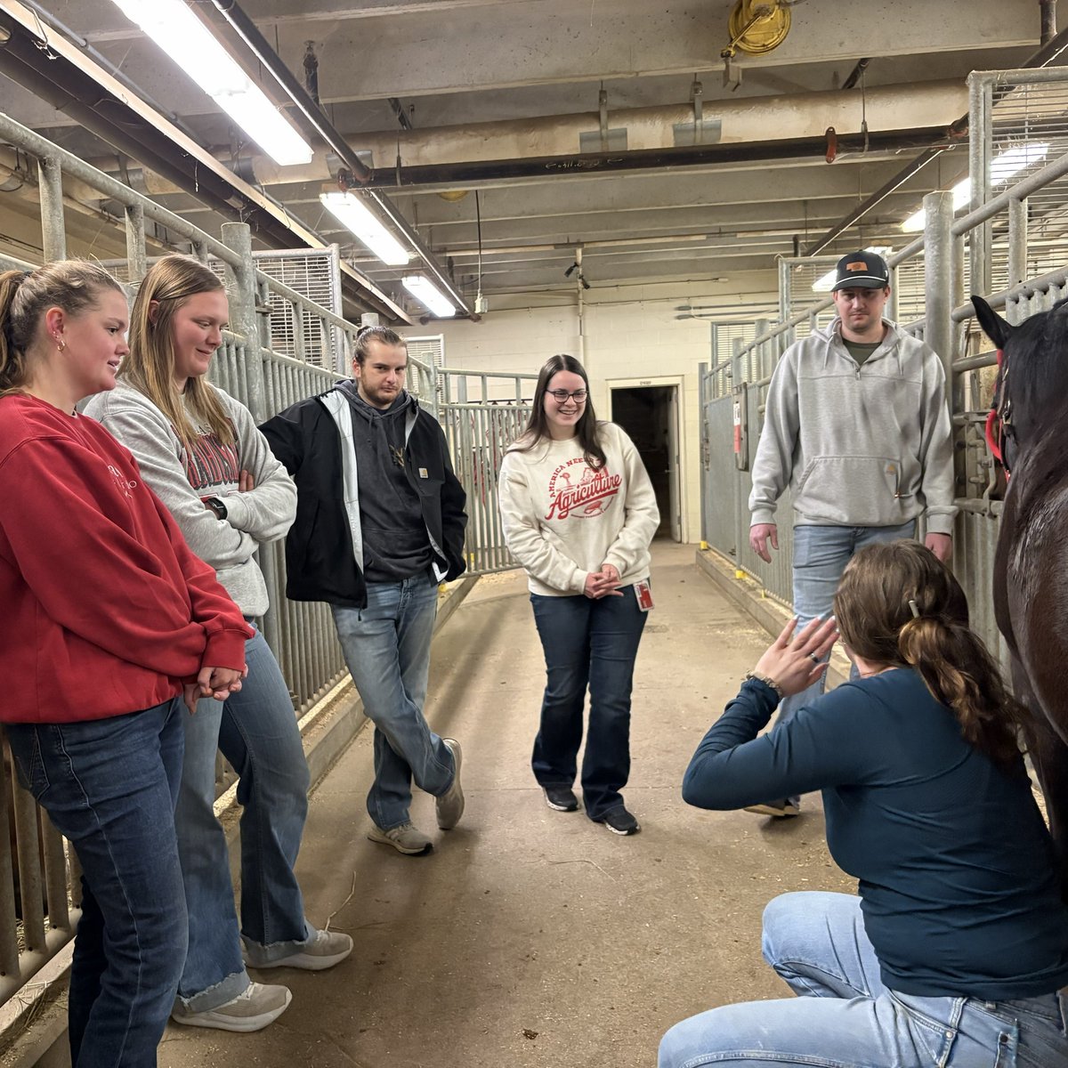 NE School of Vet Medicine & Biomedical Sciences tweet media