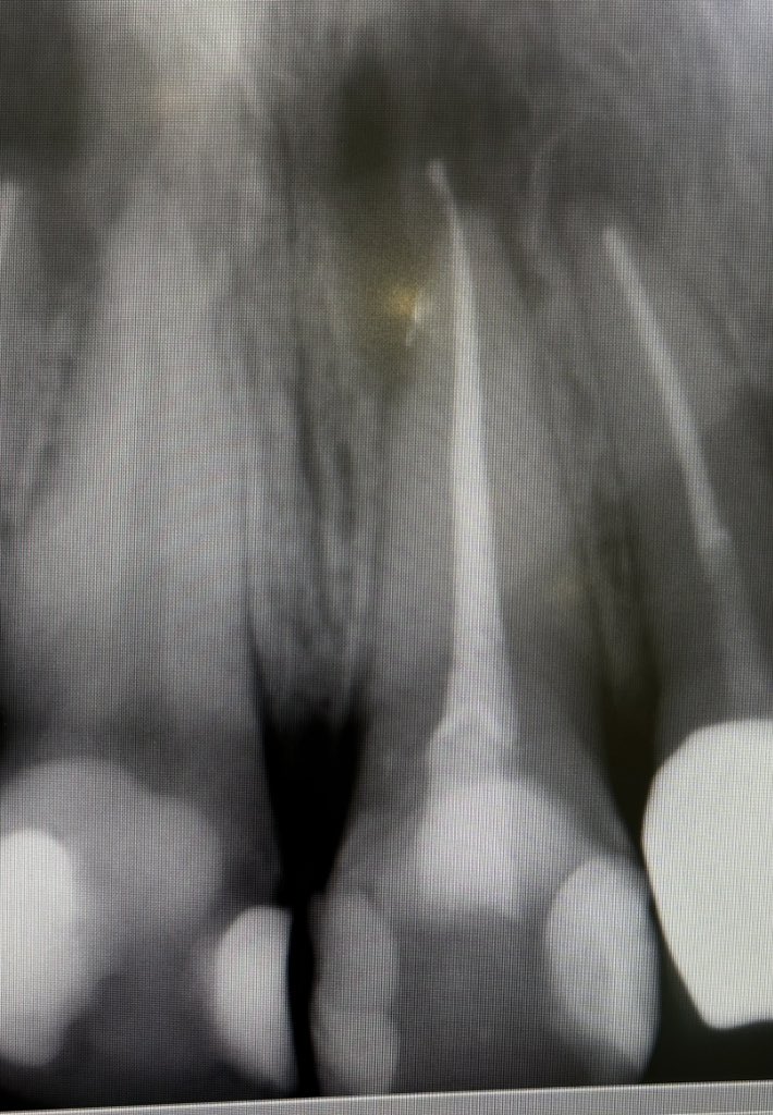 Raghad Almutairi tweet media