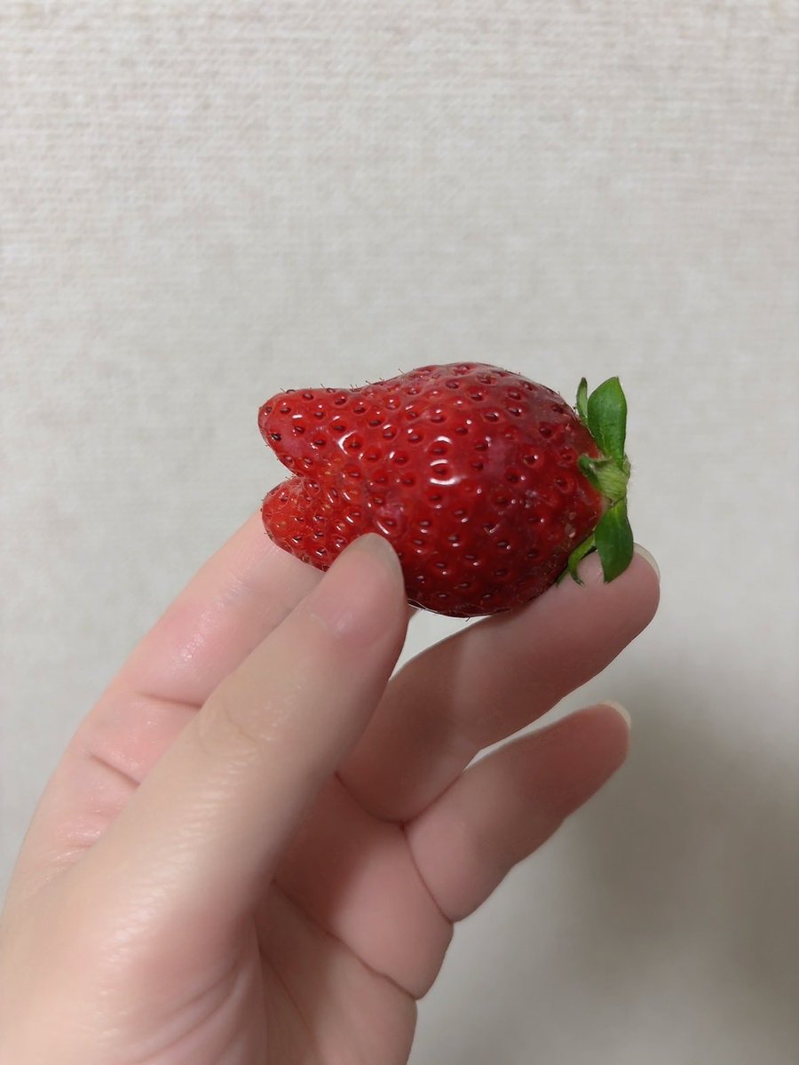 さたん tweet media