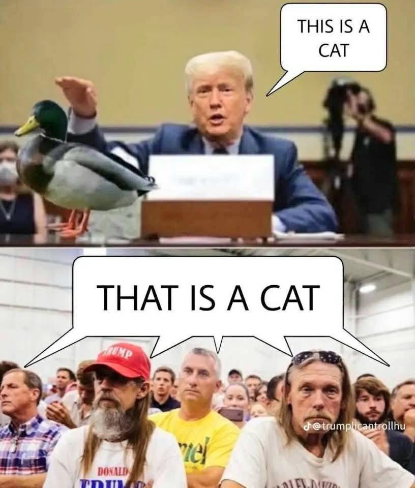 scihs0312 tweet media