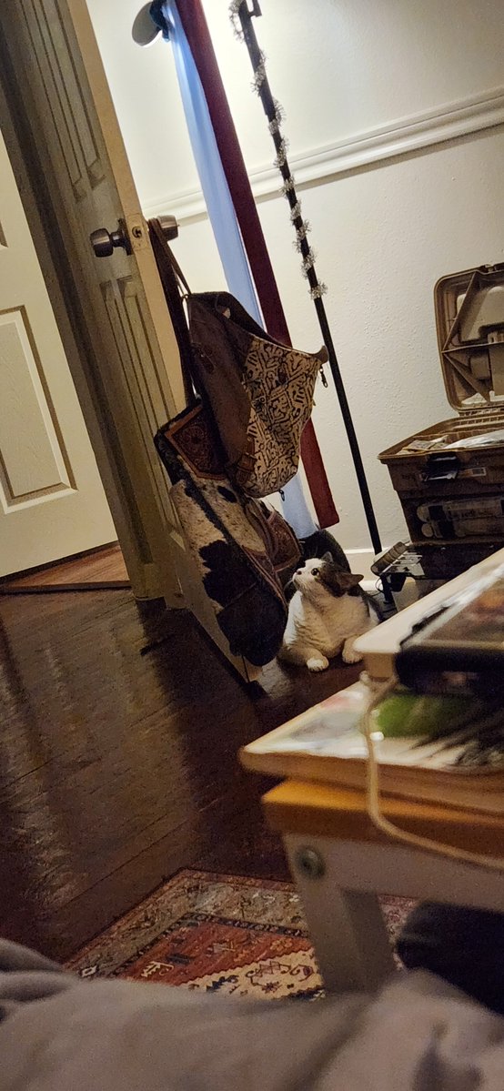 Tity Bordeaux tweet media