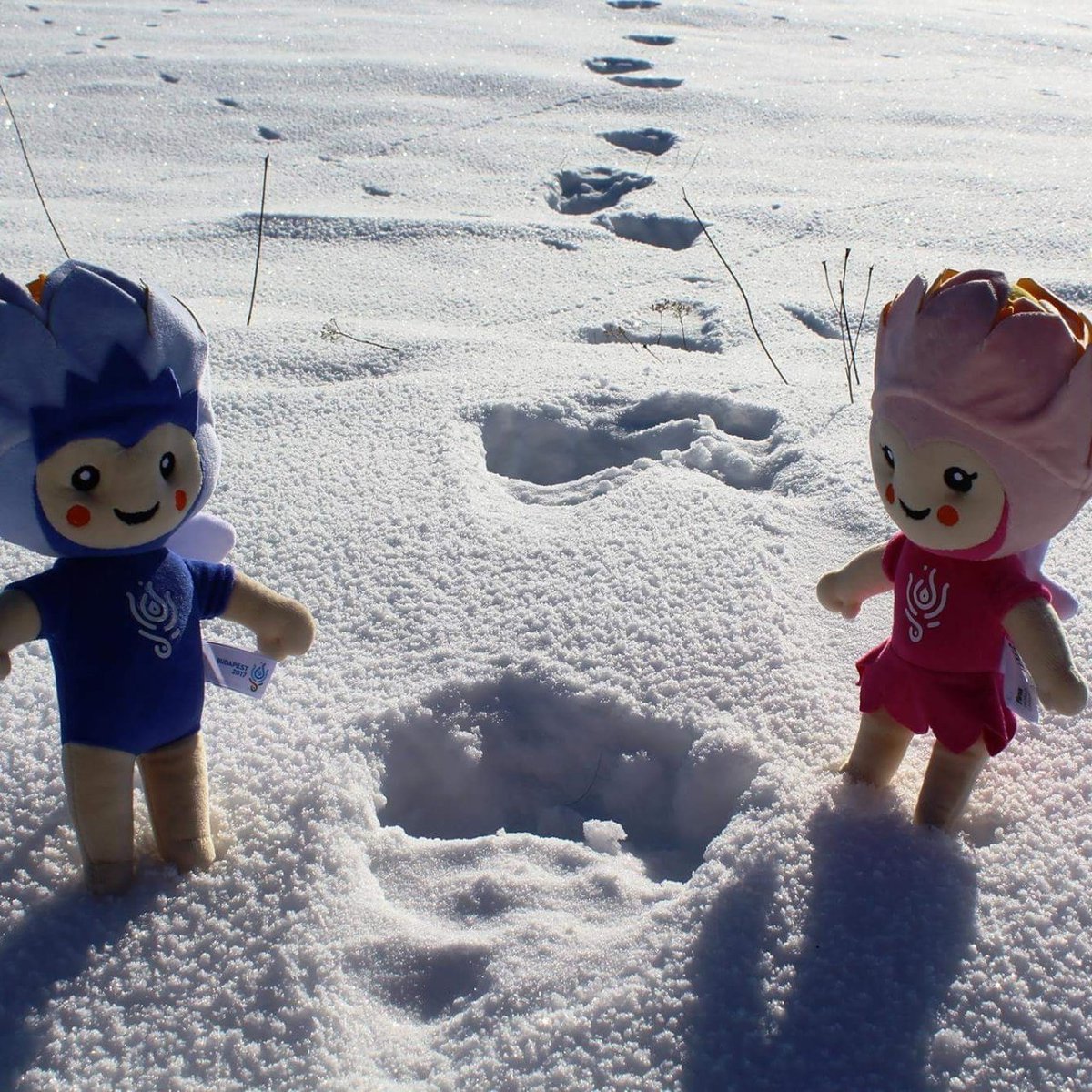 kyle korzinski tweet media