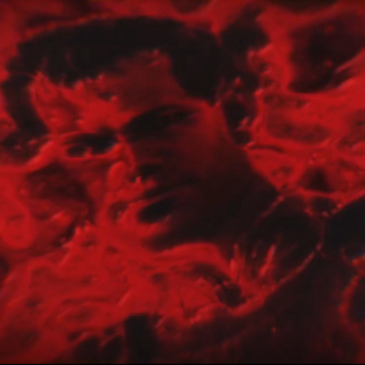 -Ruthless- tweet media