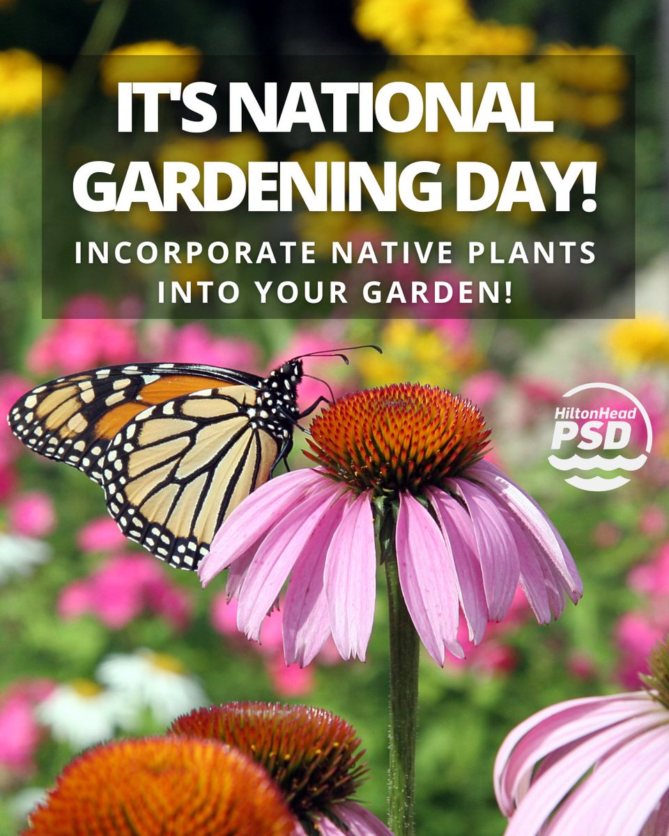 Hilton Head PSD tweet media