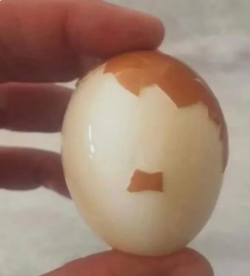 HH Seig heil and WMFP O/