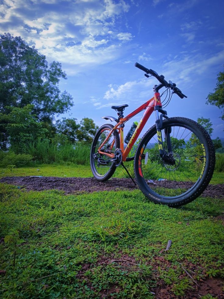 Mümkün olduğunca doğadan kopmamaya çalısıyorum İnsanı yoran şeyin doğadan kopmak olduğunu düşünüyorum. Toprağa basmadıkça, rüzgârı yüzümde hissetmedikçe, bir ağacın gölgesinde oturmadıkça içimdeki denge, huzur ve kendimle olan bağın koptuğunu hissediyorum.