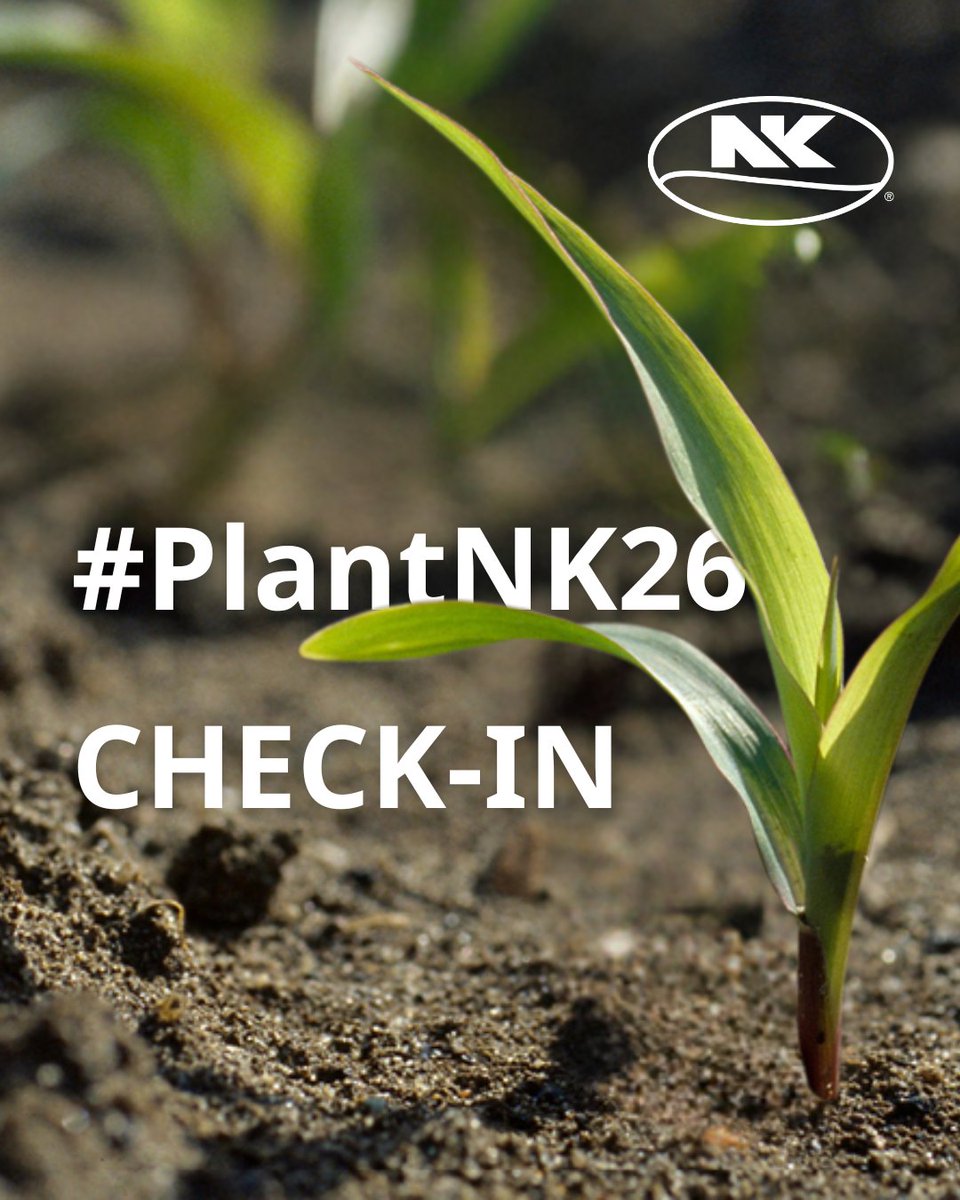 NK Seeds tweet media