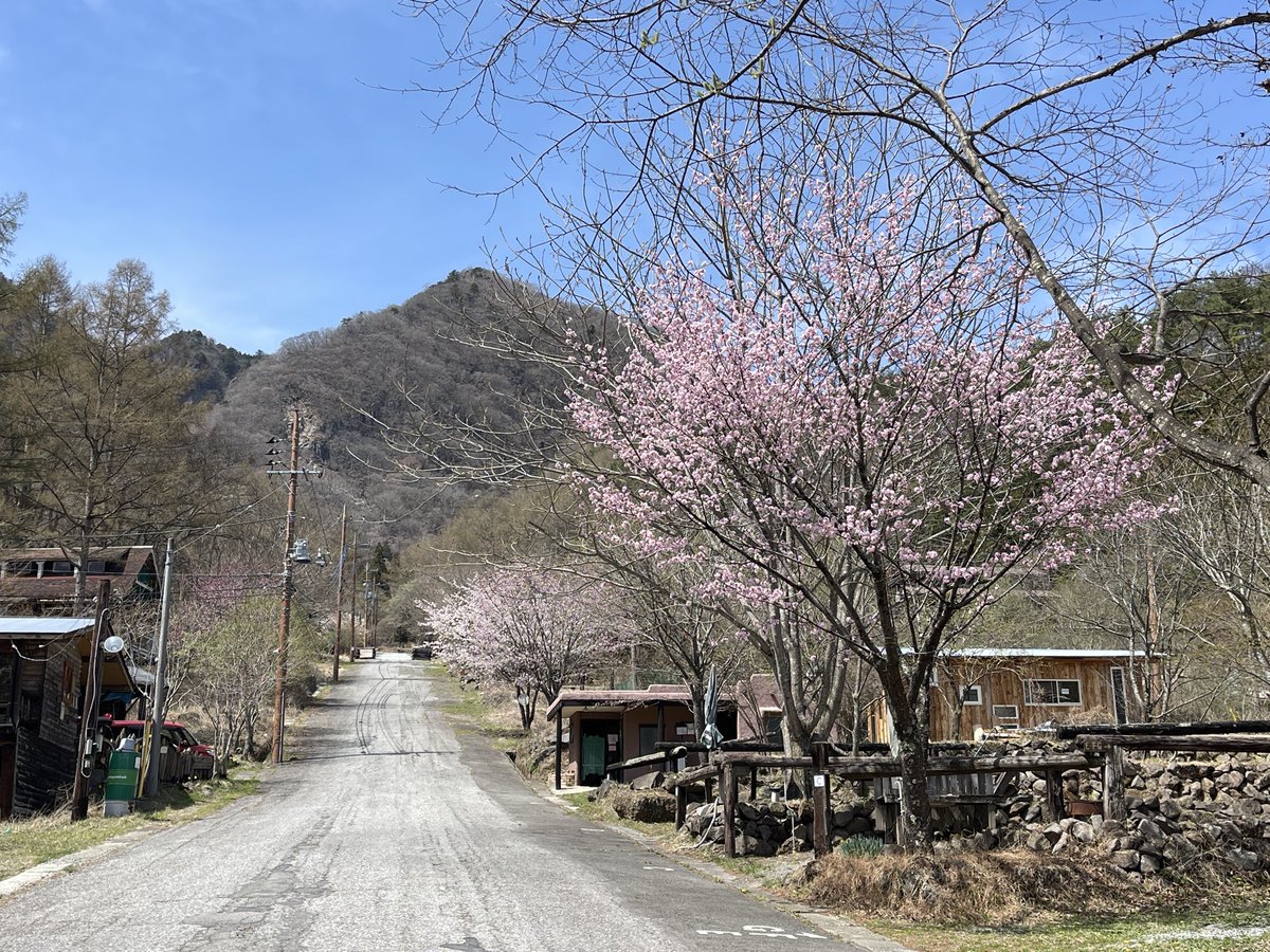monogusataro's tweet photo. 甲斐市内で桜を愛でる

4/14、甲斐市上芦沢のノースランドキャンパーズビレッジ。
満開までのもう少し。

#さくら
#甲斐市 https://t.co/mHkxqh8elc