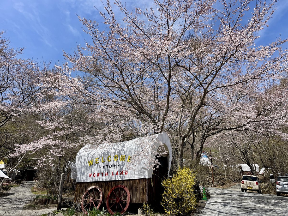 monogusataro's tweet photo. 甲斐市内で桜を愛でる

4/14、甲斐市上芦沢のノースランドキャンパーズビレッジ。
満開までのもう少し。

#さくら
#甲斐市 https://t.co/mHkxqh8elc