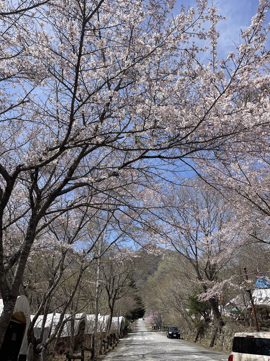 monogusataro's tweet photo. 甲斐市内で桜を愛でる

4/14、甲斐市上芦沢のノースランドキャンパーズビレッジ。
満開までのもう少し。

#さくら
#甲斐市 https://t.co/mHkxqh8elc