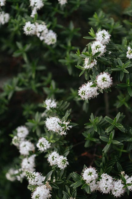 Sierra Erickson tweet media