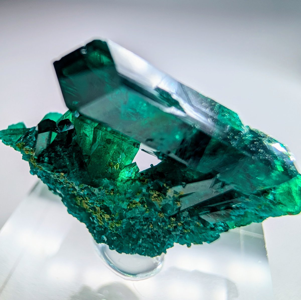 雪⛰️国 tweet media