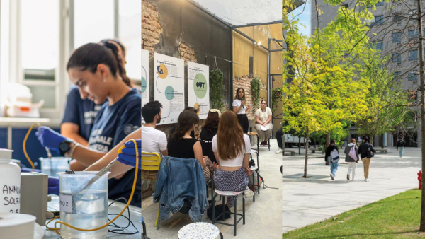 Politecnico di Milano tweet media